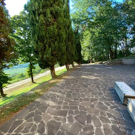 Sartorello